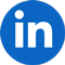 Icona LinkedIn